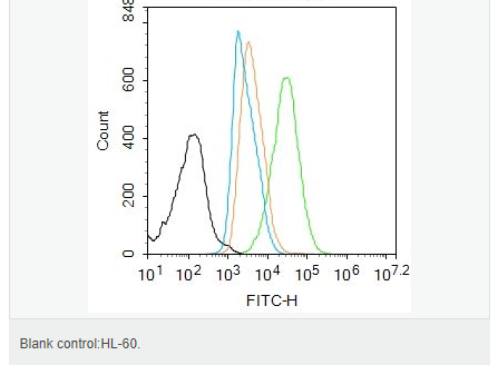 60793a376a9f7.png image.png